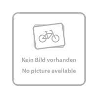 SRAM Freilauf X.9 V2