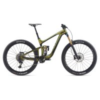 GIANT Reign Advanced Pro 29 0 MTB Fully 2020 | Chameleon...