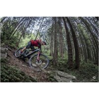 Simplon Rapcon Pmax E-MTB Graphite Grey Matt/ Black...