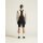 Craft Core Endur Bib Shorts M black