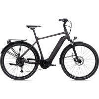 GIANT DailyTour E+ 3 Sport 500Wh GTS City E-Bike 2025 |...