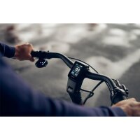 GIANT DailyTour E+ 3 Sport 500Wh GTS City E-Bike 2025 | Rosewood
