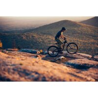 GIANT Trance Advanced Pro 1 29er Fully 2022 | Carbon / Black Diamond