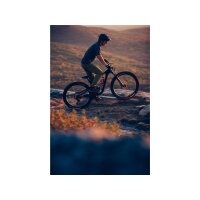 GIANT Trance Advanced Pro 1 29er Fully 2022 | Carbon / Black Diamond