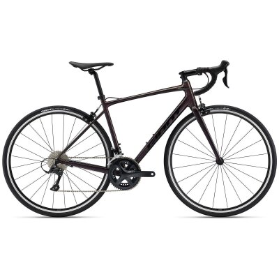 GIANT Contend 1 All-Rounder Rennrad 2024 | Rosewood