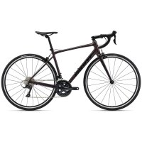 GIANT Contend 1 All-Rounder Rennrad 2024 | Rosewood