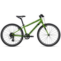 GIANT ARX 24 Kinderrad 2024 | Metallic Green