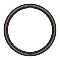 Schwalbe G-ONE R - Race Evolution Line Faltreifen, 45-622 / 28x1.70 / 700x45C schwarz/transparent