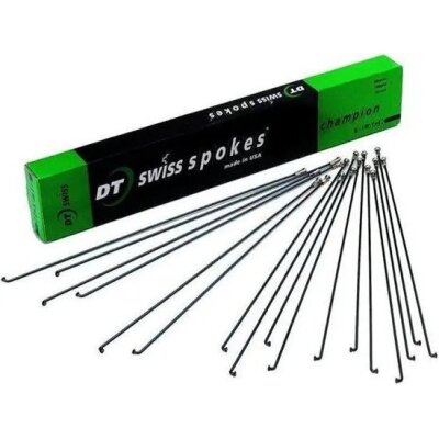 DT Swiss Speiche DT Champion schwarz, 2,0 mm, 286 mm