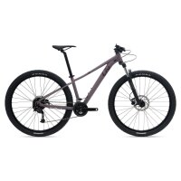 Liv Tempt 3+ Damen MTB 2025 | purple ash matt