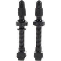 Giant Light Weight Tubless Ventil 60mm 2x