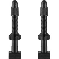 Giant light weight Tubless Valve 70mm