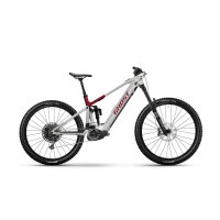Ghost E-RIOT ADVANCED 800Wh E-Fully 2026 | misty gray /...