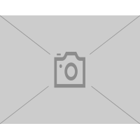 FSA Kettenblatt MTB Comet 36 Zähne