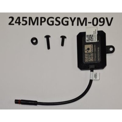 GIANT Display Schalter SG-Modul Smart Gateway 10 Yamaha 36V 100MMG-System