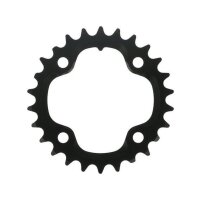 SRAM MTB Kettenblatt 2x10 mattschwarz