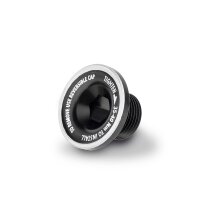 ROTOR NEW 3D+ ALLOY DS BOLT - BLACK Kurbelarmschraube