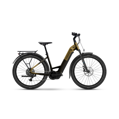 Haibike TREKKING 7.5 800Wh Tiefeinsteiger Trekking E-Bike 2026 | sparkling black/gold matt