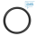 Bosch O-Ring (BDU3XX, BDU33YY)