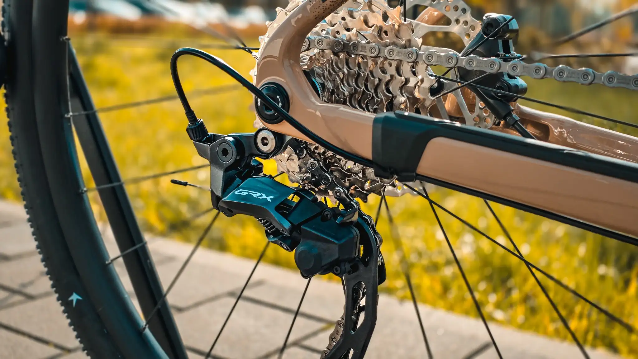 Cube Nuroad Race 2026 seitliche Ansicht im Herbstlicht