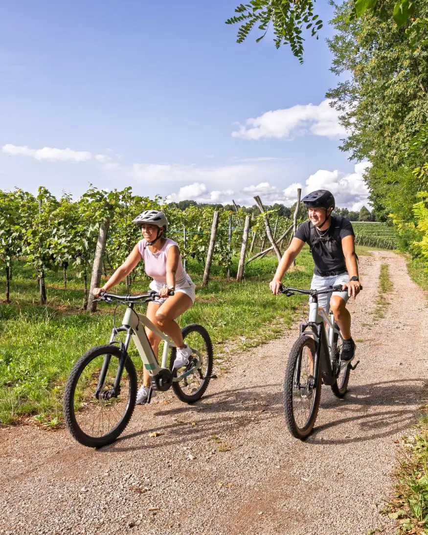 E-MTB Fully 2026 im Gelände